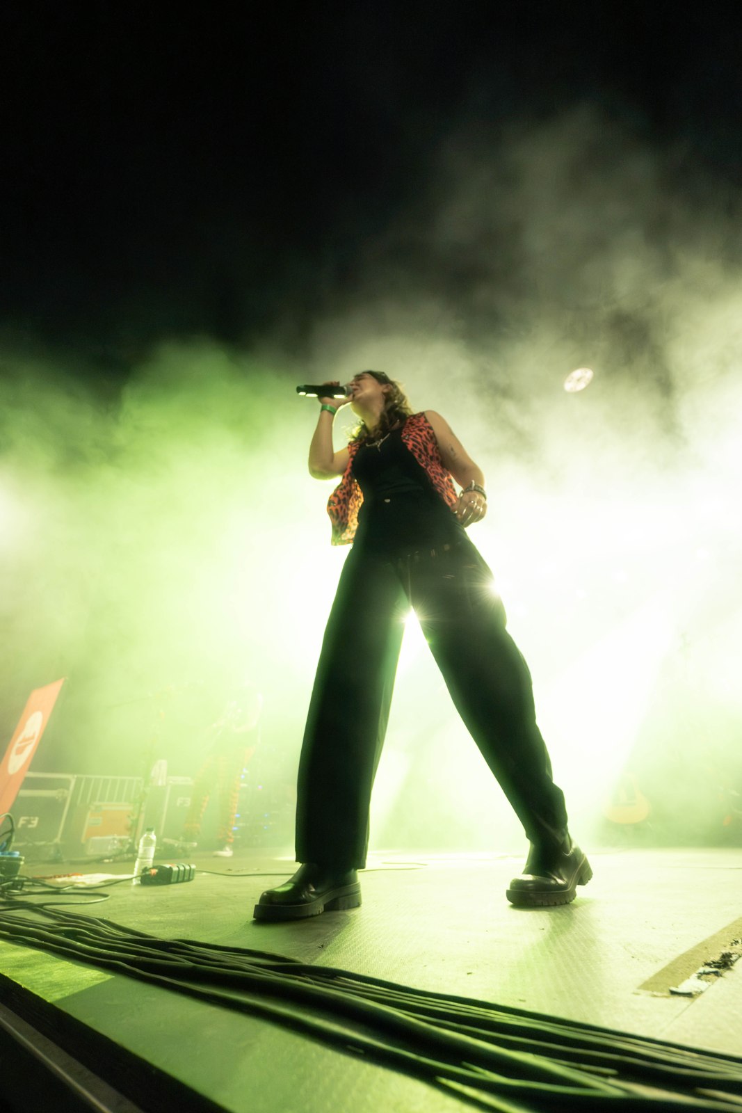 Vocalista de Las Locas del Panda entre llums verds i fum